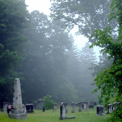 2005