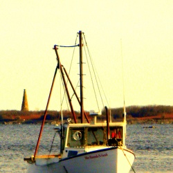 2015
